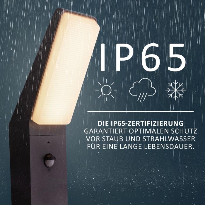 LED Außenstandleuchte EVA 2305A1-750 mit Bewegungsmelder, warmweißes Licht, anthrazit, IP65